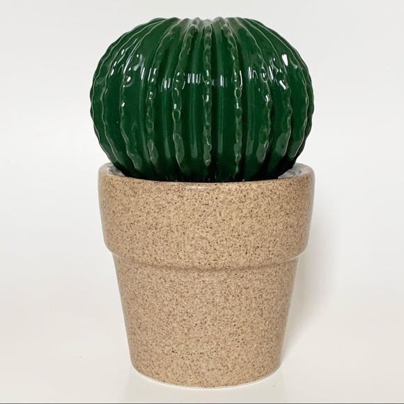 Other - Cactus Ceramic Home Decor